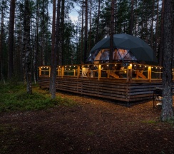 Сфера лесная в Forest lake