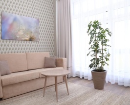 Двухместный Студио в Отель на Ваге