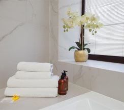 Делюкс (Double/Twin) в Премьер Отель