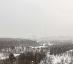 Forest View - 3х местные апартаменты-студия у Ботанического сада (13 этаж) в Smart Lofts Moscow