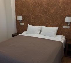 2-местный номер делюкс в Никольский посад