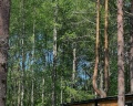 New Camp: отзыв от Александра Калинина