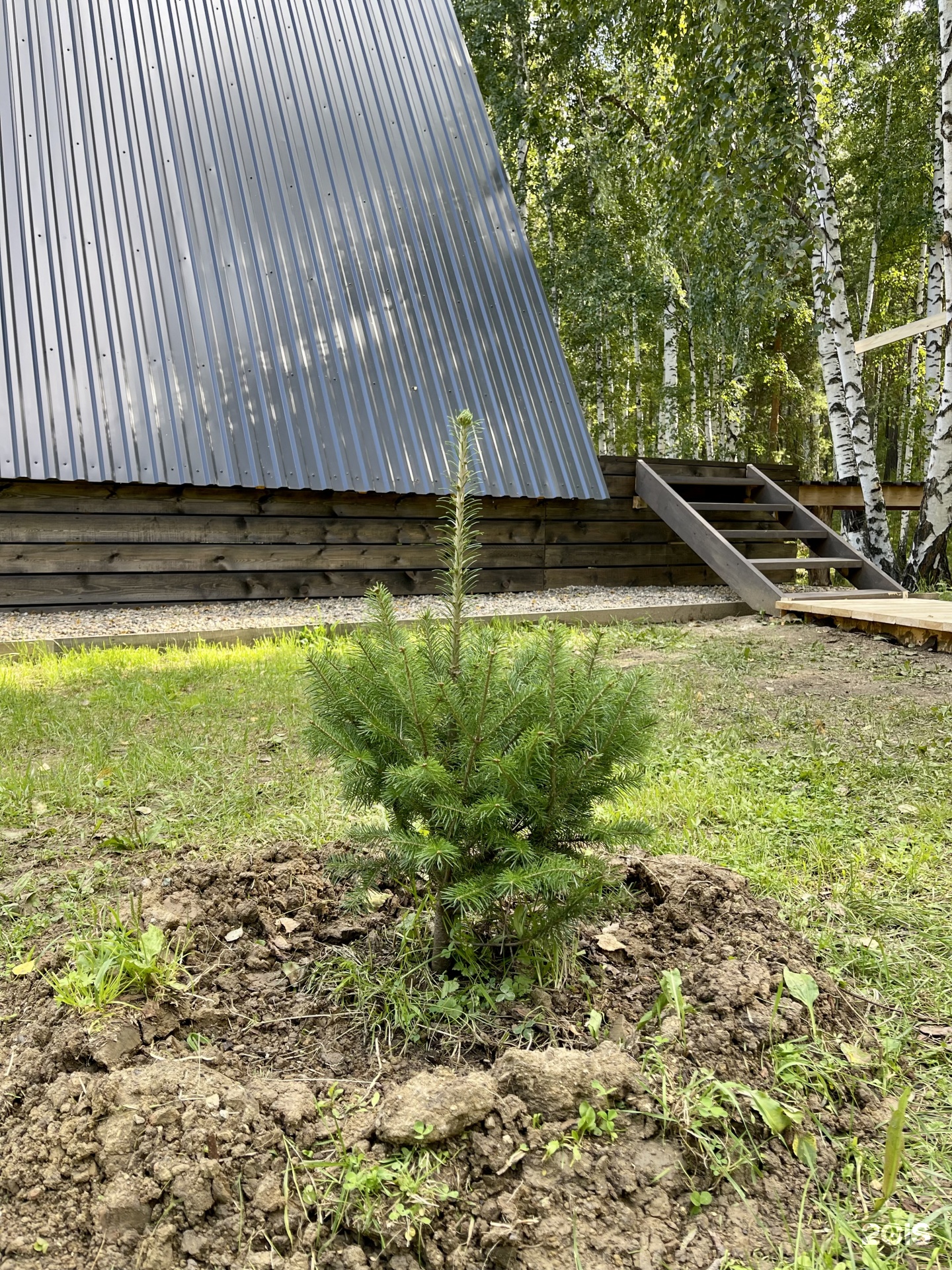 Хижина в лесу, гостевой дом, улица Сибирская, 64а, рп. Куйтун — 2ГИС