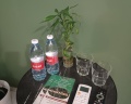 #Dom30 hostel: отзыв от Daria U