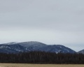 Заимка: отзыв от Z И.
