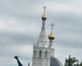 Благодарня: отзыв от Паулина Благонравова