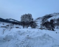 Маральник Altai Palace: отзыв от Анна Шурупова