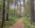 Заельцовский парк: отзыв от Анна Жукова