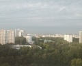 Salut: отзыв от Рим Хазиахметов
