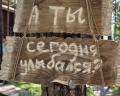 Сила Алтая: отзыв от Светлана Хабарова