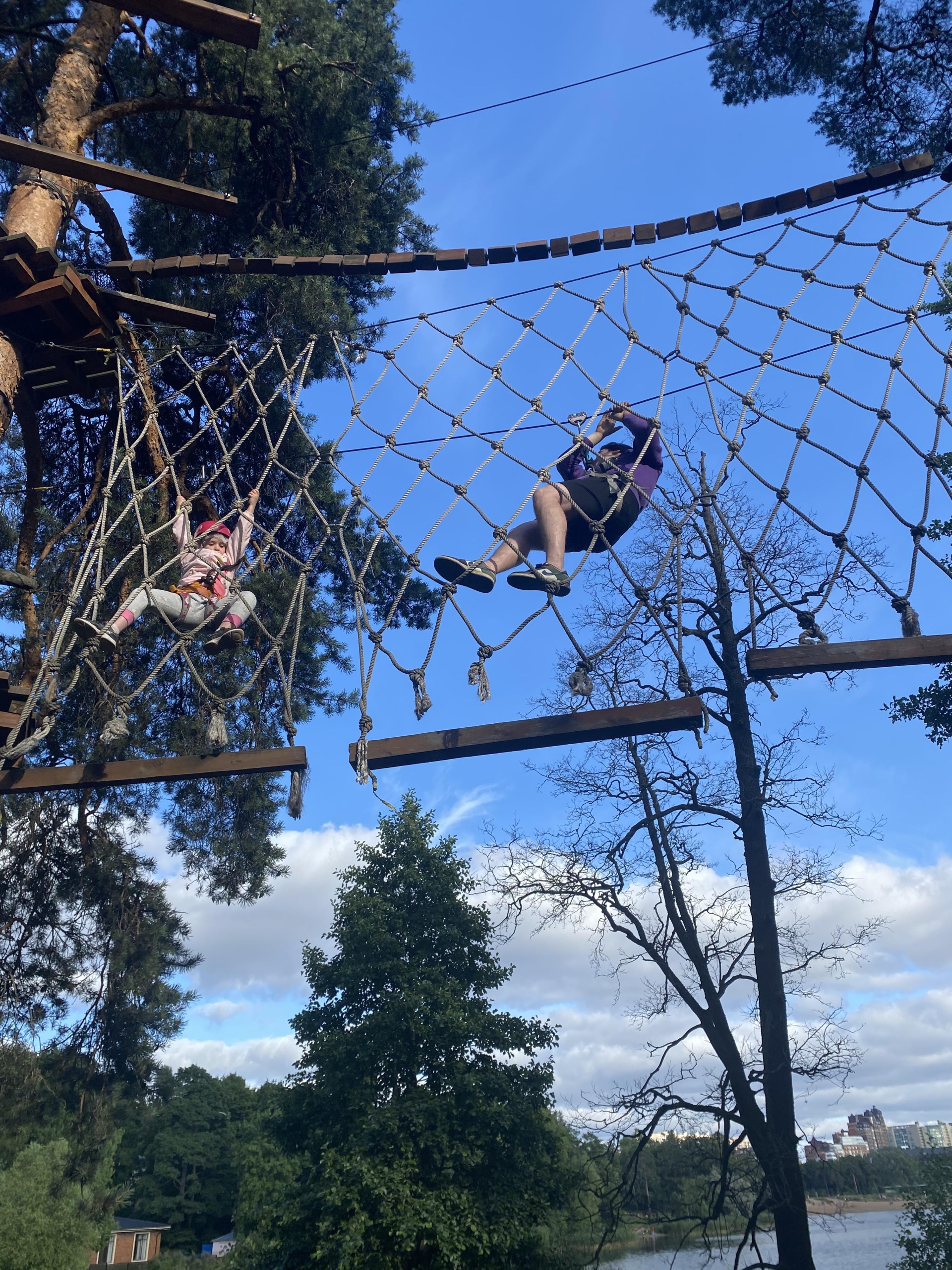 Tree to tree, веревочный парк, Эриванская, 10, Санкт-Петербург — 2ГИС