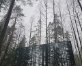 Forest lake: отзыв от Алекс Крузенштейн