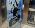 Grizzly: отзыв от Анастасия Панфилова