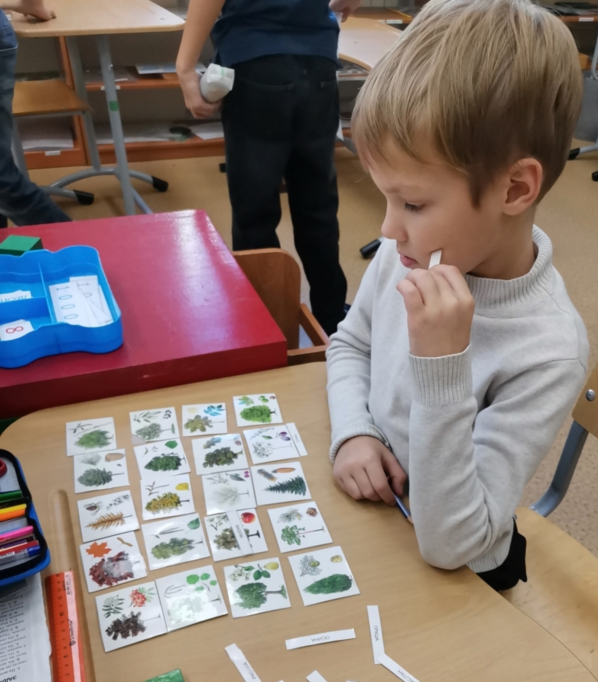 Созвездия, центр детского развития, улица Серебренниковская, 11, Новосибирск  — 2ГИС