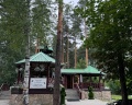 Энергетик: отзыв от EVIA Fruits