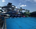 Псыгупс: отзыв от Дарья Япрынцева