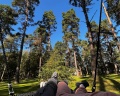 Pine River: отзыв от Александр Александр