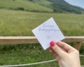 Алтайское кочевье: отзыв от Карина Сергеева