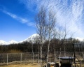 Bering-Kamchatka: отзыв от Agapova Studio
