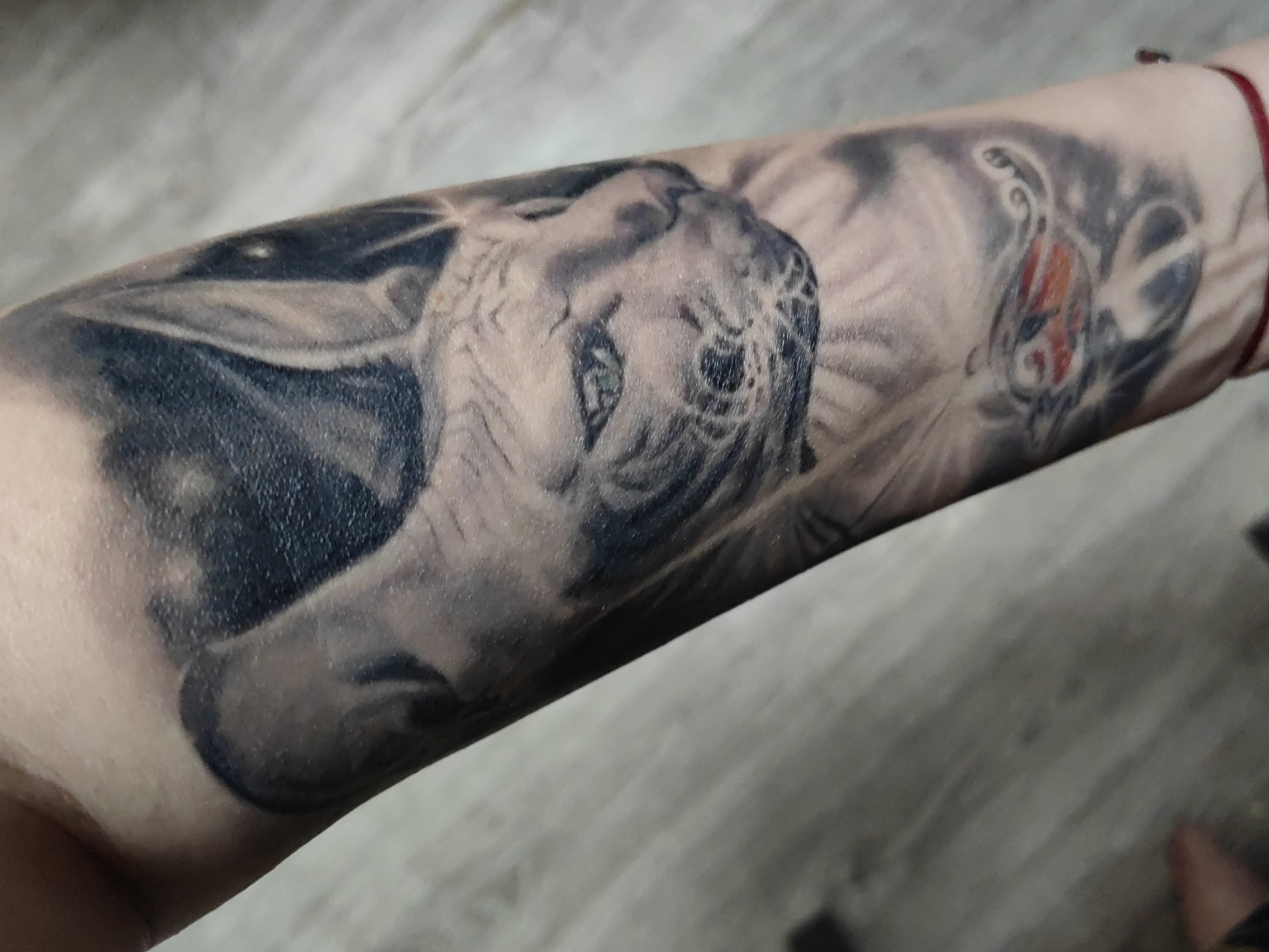 Shoroh tattoo, улица Дуси Ковальчук, 238, Новосибирск — 2ГИС