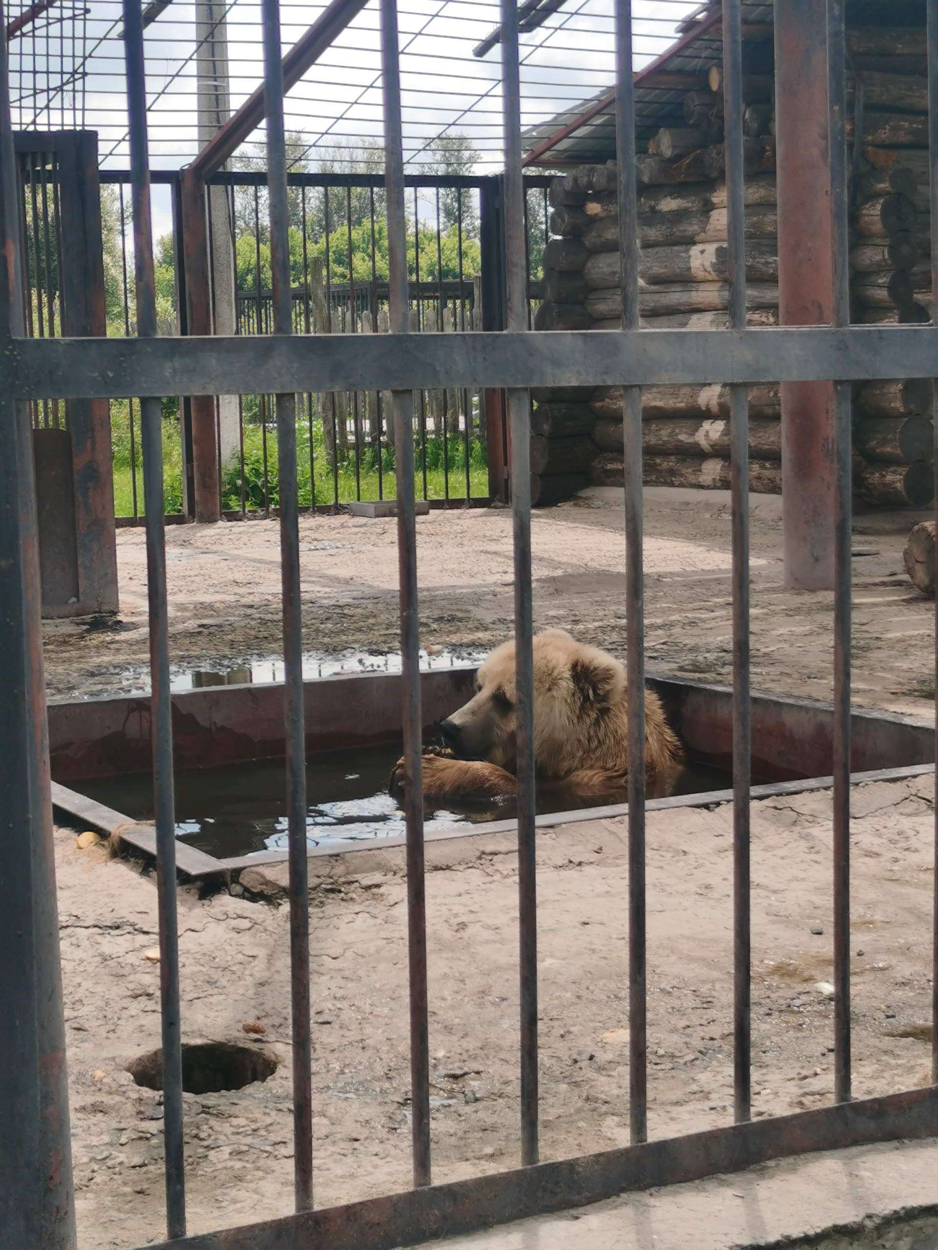 Старооскольский зоопарк, переулок Золотой Фазан, 2а, х. Чумаки — 2ГИС