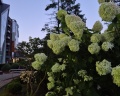 Holiday Inn Kaliningrad: отзыв от Таня Островская
