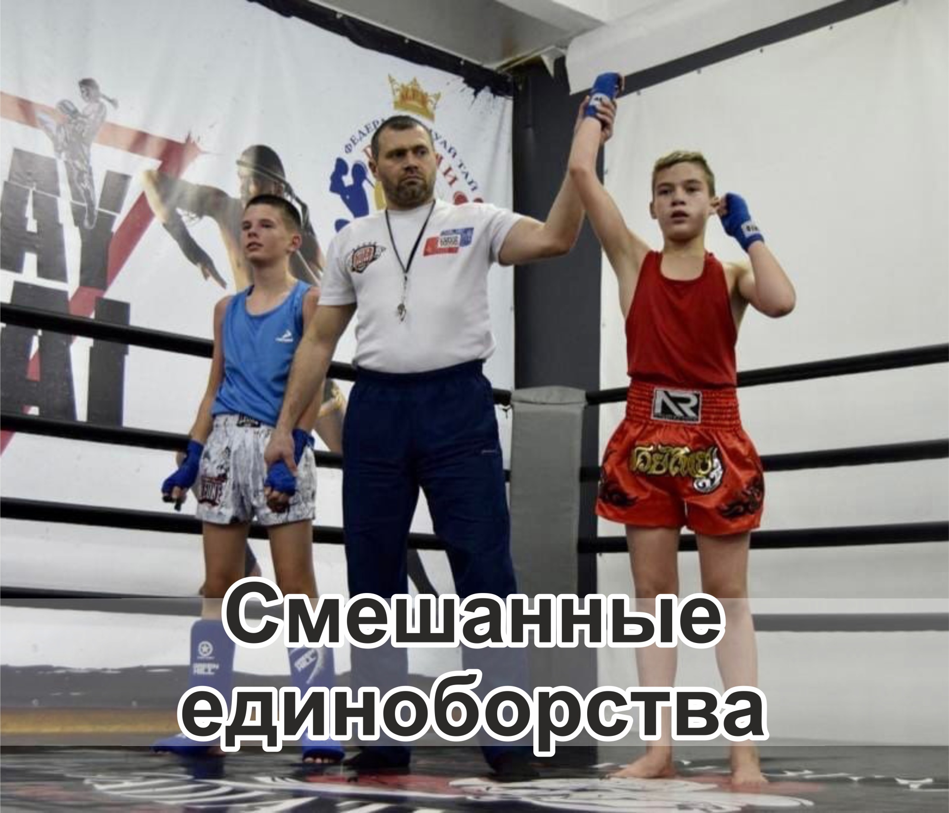 Fighter, школа спортивных единоборств, ТЦ Северный, Северный микрорайон,  12, Старый Оскол — 2ГИС