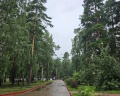 Ингала: отзыв от Анастасия Васильева