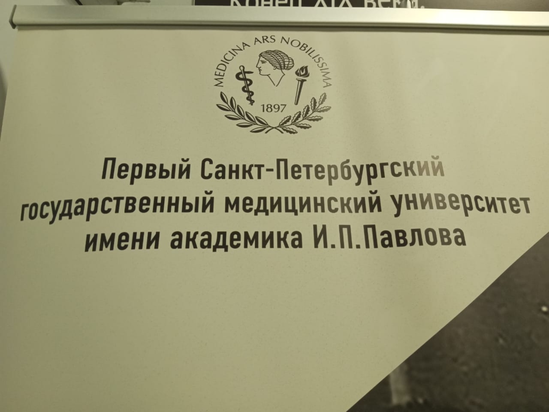 Перелетные птицы, туристическое агентство, улица Аммосова, 18, Якутск — 2ГИС