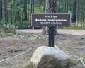 Forest lake: отзыв от Никита Попов