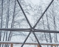 Holidays Forest: отзыв от Ирина Михайловская