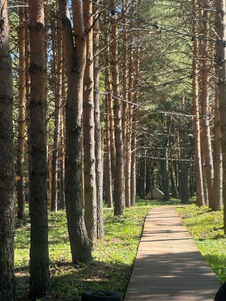 Kemerovo viloyati, Berezovskiy shahridagi fohishalar