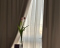 Plaza Garden Moscow WTC: отзыв от Anna Halmatova