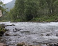 Ареда 1: отзыв от Оля Водвуд