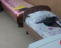 645 км: отзыв от Мари Бронн