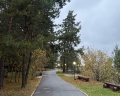 Борвиха hotel&SPA: отзыв от Катерина Алексеевна