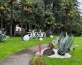 Alean Family Sputnik: отзыв от Юлия Т