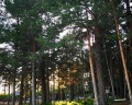 Taleo home: отзыв от Полина Н