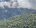 Беларусь: отзыв от Анастасия Литвинова