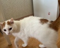 Pentahotel ARBAT: отзыв от Давидос Котос🐈🐈🐈🐈🐈💨