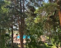 Морозово: отзыв от Алла Данн