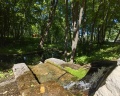 Хвалынский Парк-Отель & SPA: отзыв от Светлана Симутина