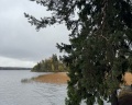 Парк «Монрепо»: отзыв от Маргарита Подымова