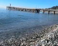 Альбатрос: отзыв от Ольга Пушкарева