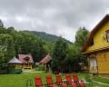 Лебедь: отзыв от Ольга Ишкова