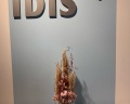 Ibis: отзыв от Яна Манакова
