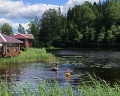 Аленушка: отзыв от Yana Astakhova
