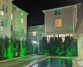 Green hosta: отзыв от Danua152