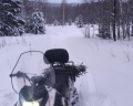 Петергоф: отзыв от Денис Ильин