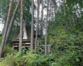 Altai star: отзыв от Дарья Боцукова